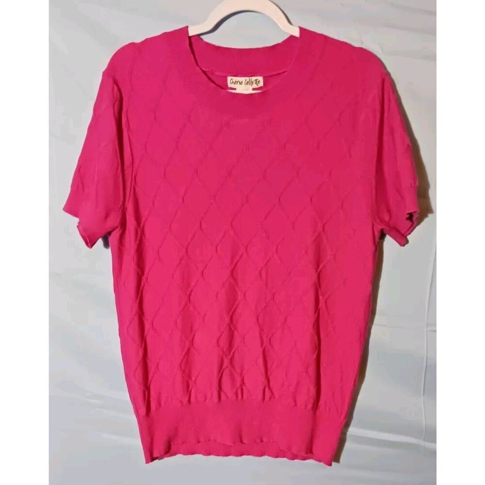 Cherie Collette Sweater XL Rayon Blend Knit Short Sleeve Top Stretch Pink